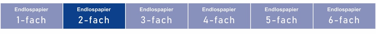 Endlosformular 2-fach